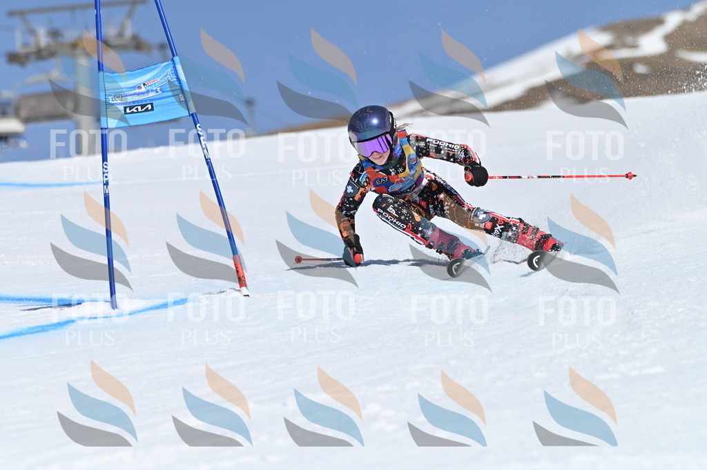 BGV_8960 | holidayphoto