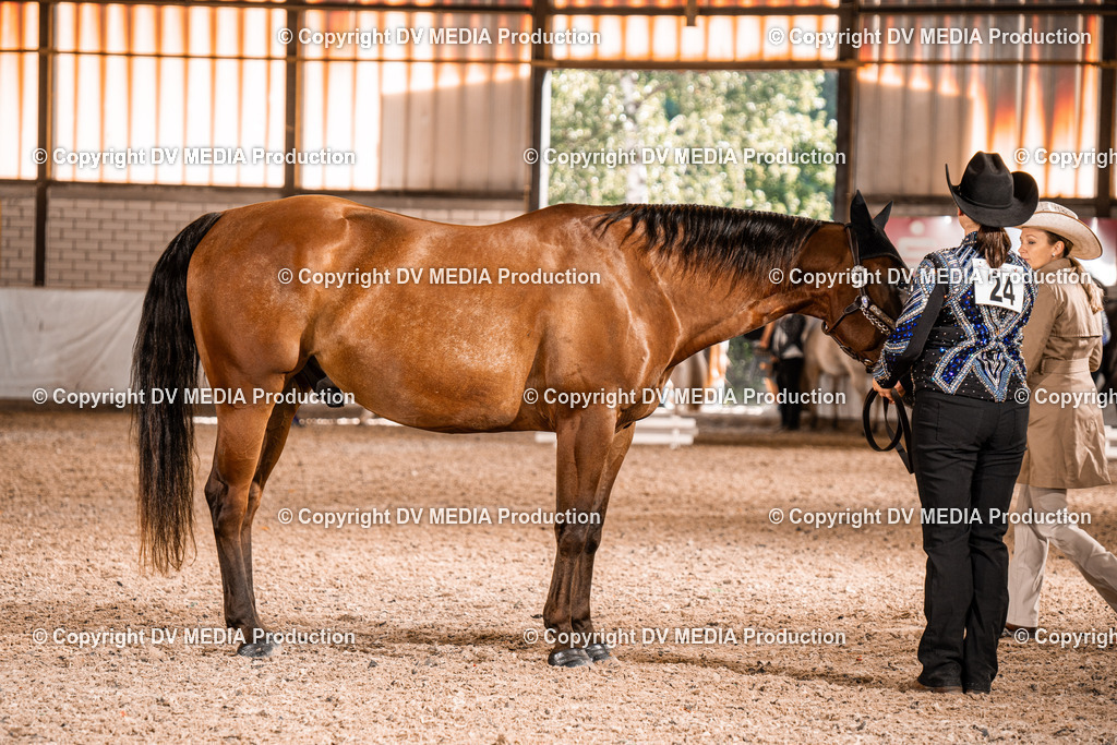 ZH100012 | dv-media-shop - Realisiert mit Pictrs.com