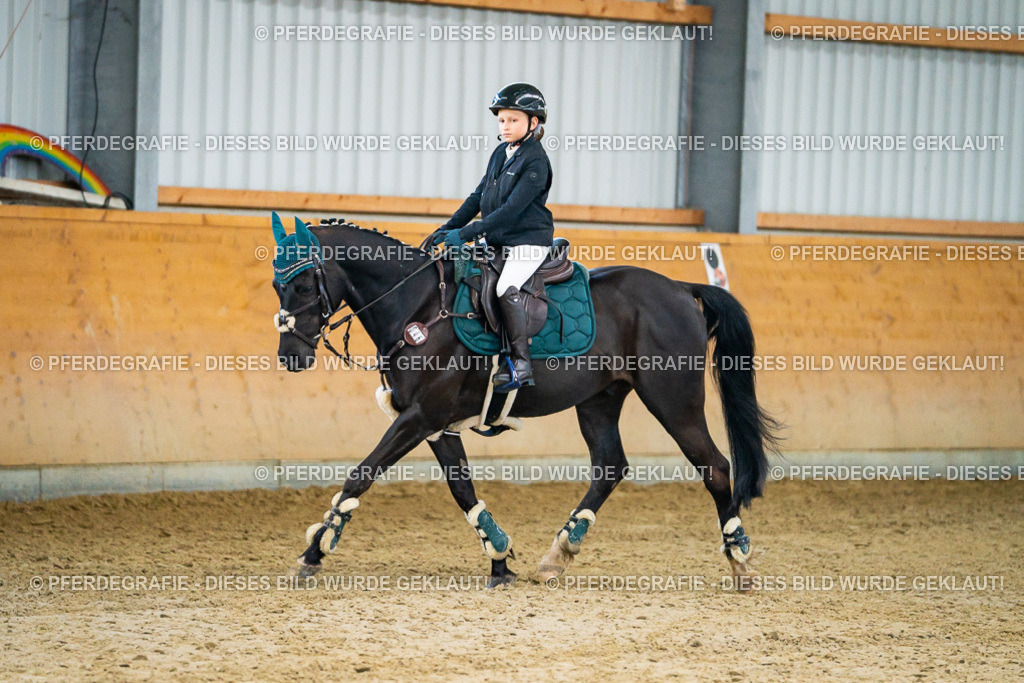 DSC00474 | Pferdegrafie