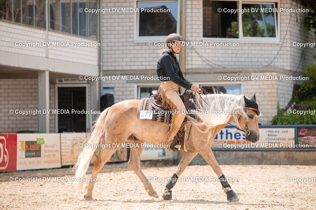 EWP_6523 | dv-media-shop - Realisiert mit Pictrs.com