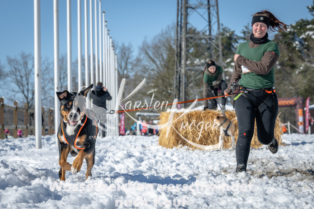 1104_ZZ94669-2 | kk-dogfotos