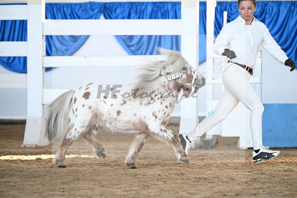Kat-Nr. 18 Belis Nevada v. Napoleon_Hock_9260441 | hf-fotografie - Realisiert mit Pictrs.com