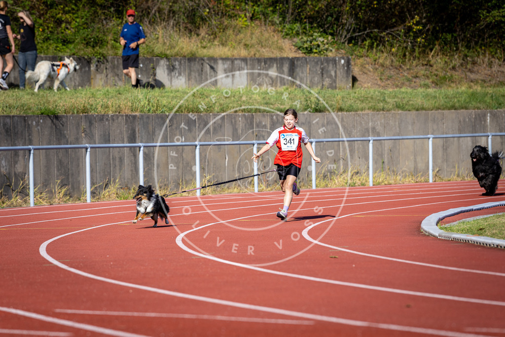 Pfotenfotografie_DV3A8043 | Hundefotografie, Tierfotograf, Pfotenfotografie, Fotoshooting Hund, Hunde Portrait, Hundesport, Hundeportraits, Heideshooting, Hunde, Sportfotograf, Hundefotograf, Turnierhundsport, THS,  - Realisiert mit Pictrs.com