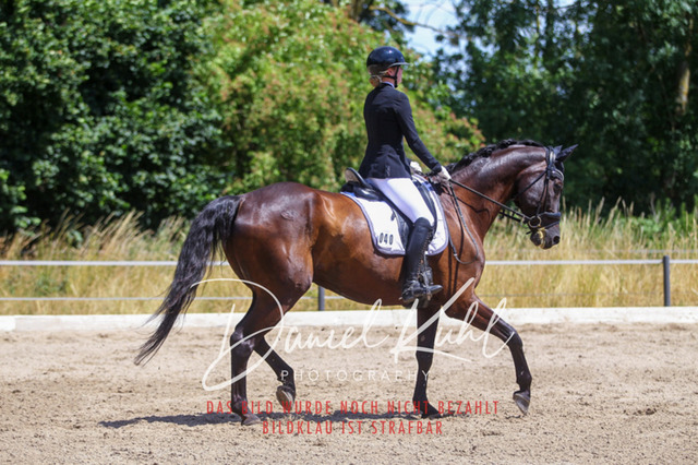 DKP46394 | Turniersportfotografie; Pferdefotografie; Dressurfotografie