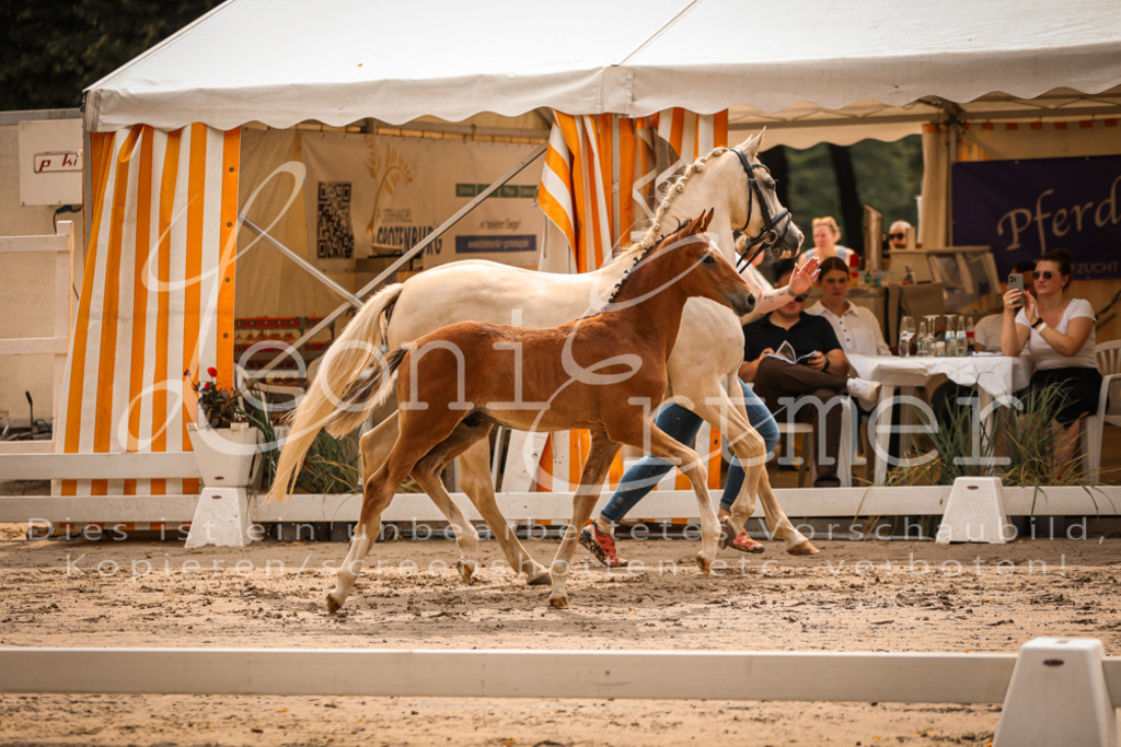 SaPA00094 | Leoni Ertmer Photography - Realisiert mit Pictrs.com