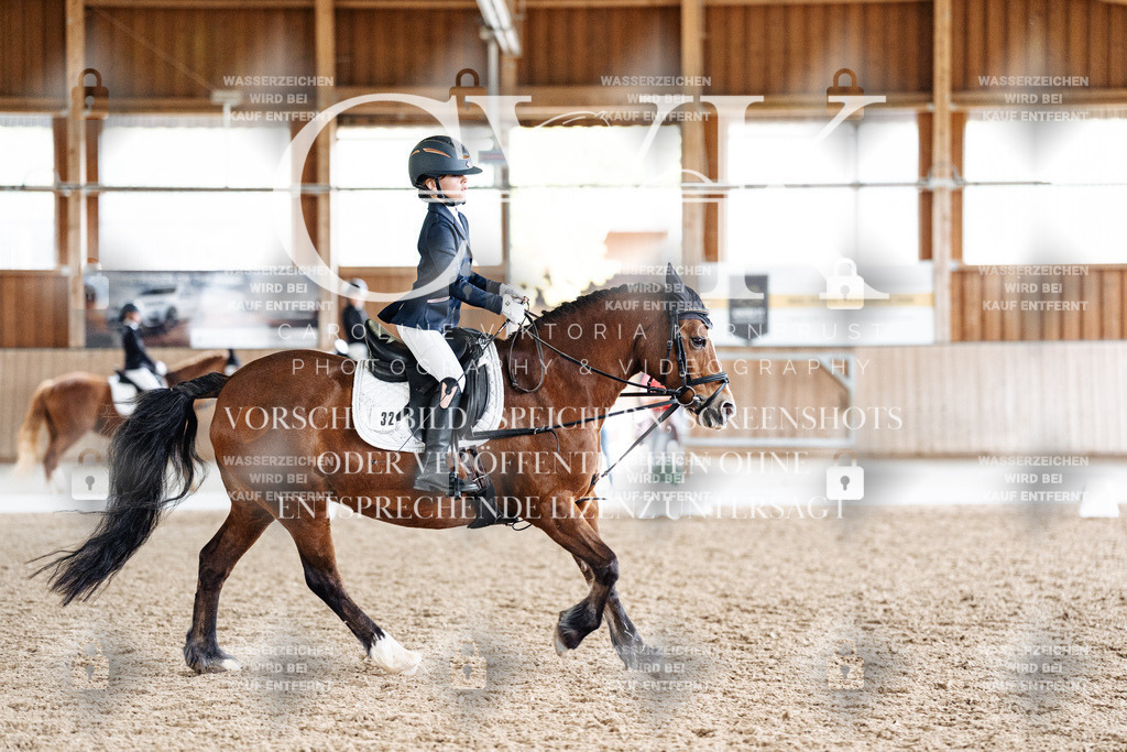 CK900723 | Turnierfotografie Pferdefotografie Trier Rheinland-Pfalz Pferdesport Reitsport Tierfotografie Sportfotografie Pferdevideo Pferdevideografie Equestrianvideography equestrianphotography  - Realisiert mit Pictrs.com
