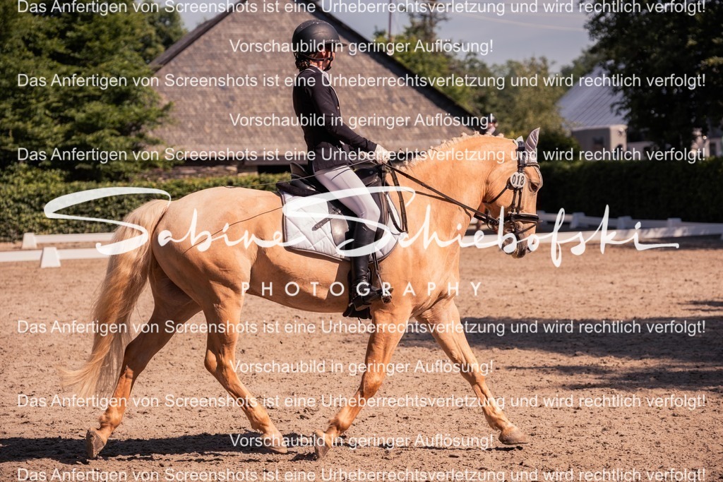 2025_05_31_DSCF3042 | People- und Tierfotografie, Imageaufnahmen, Veranstaltungsfotografie und Wandbilder aus der Natur ★ Made in Germany ✔️ Druck + Downloads ✔️ Naturfotografie in Top Qualität ★ schneller Versand, weltweite Lieferung! - Realisiert mit Pictrs.com