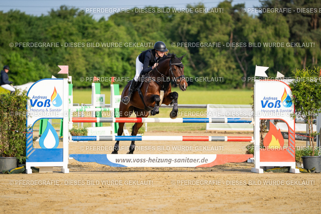 DSC02560 | Pferdegrafie