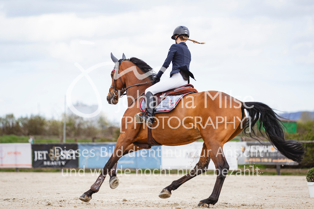 260404_Fruehlingsfest_Stil-A-415 | Deine schönsten Turniermomente als professionelle Fotos! Entdecke hochwertige Pferdesport-Fotografie im Online-Shop. Jetzt Fotos finden & bestellen!