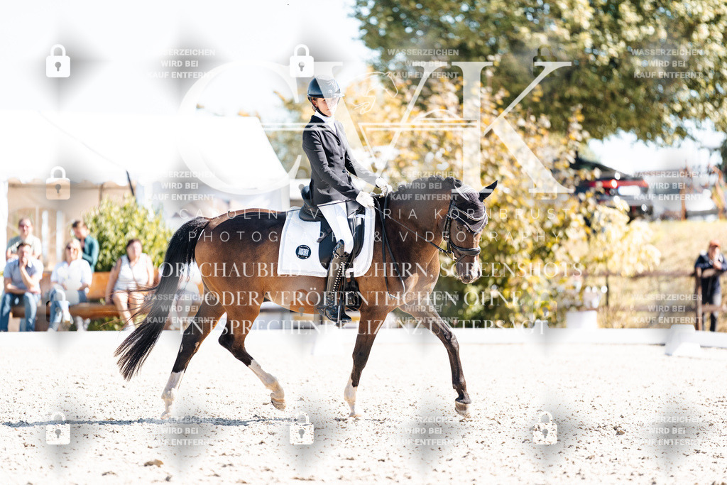 CK909614 | Turnierfotografie Pferdefotografie Trier Rheinland-Pfalz Pferdesport Reitsport Tierfotografie Sportfotografie Pferdevideo Pferdevideografie Equestrianvideography equestrianphotography  - Realisiert mit Pictrs.com