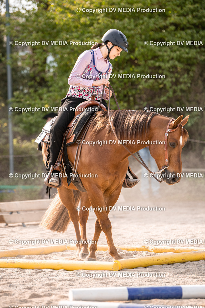 Balingen Tag 5-197 | dv-media-shop - Realisiert mit Pictrs.com