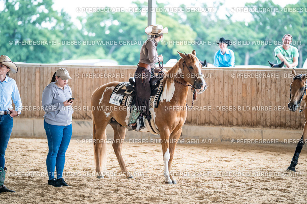 DSC09232 | Pferdegrafie