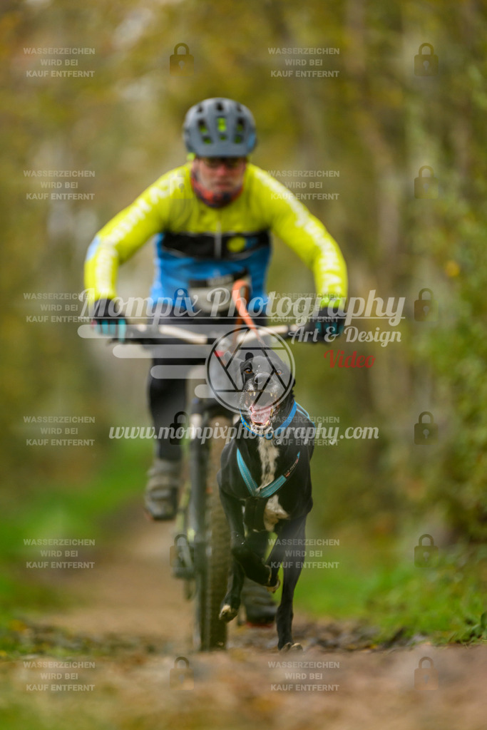 MompixPhotography_20TSB_E6_Bike-110 | PayLife