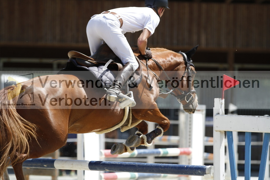 _MG_7401 | equestrian-live-com