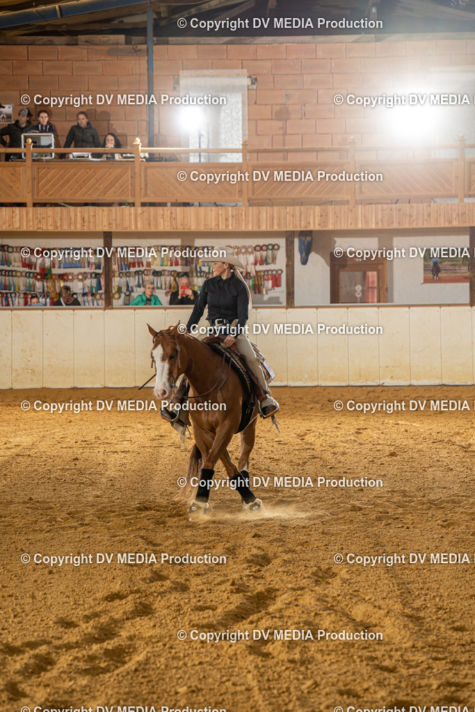 MIT01042 | dv-media-shop - Realisiert mit Pictrs.com