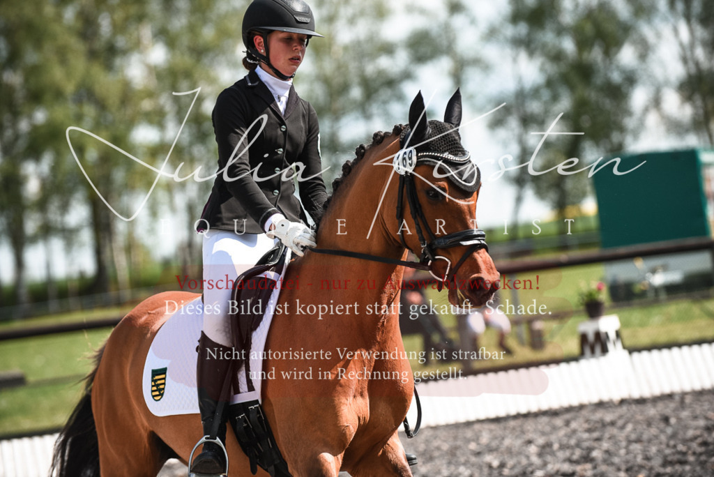 DSC_8998 | Pferde- und Turnierfotografie in Westsachsen. Pferdeportraits, Auftragszeichnungen und intuitive Kunst.
