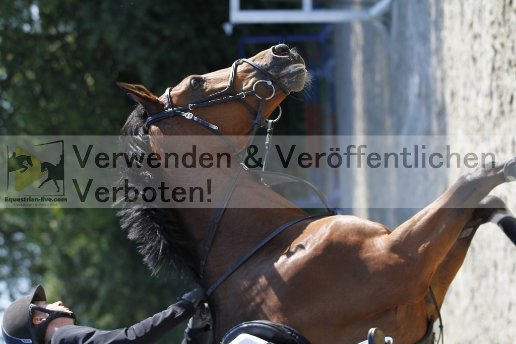 _MG_6326 | equestrian-live-com