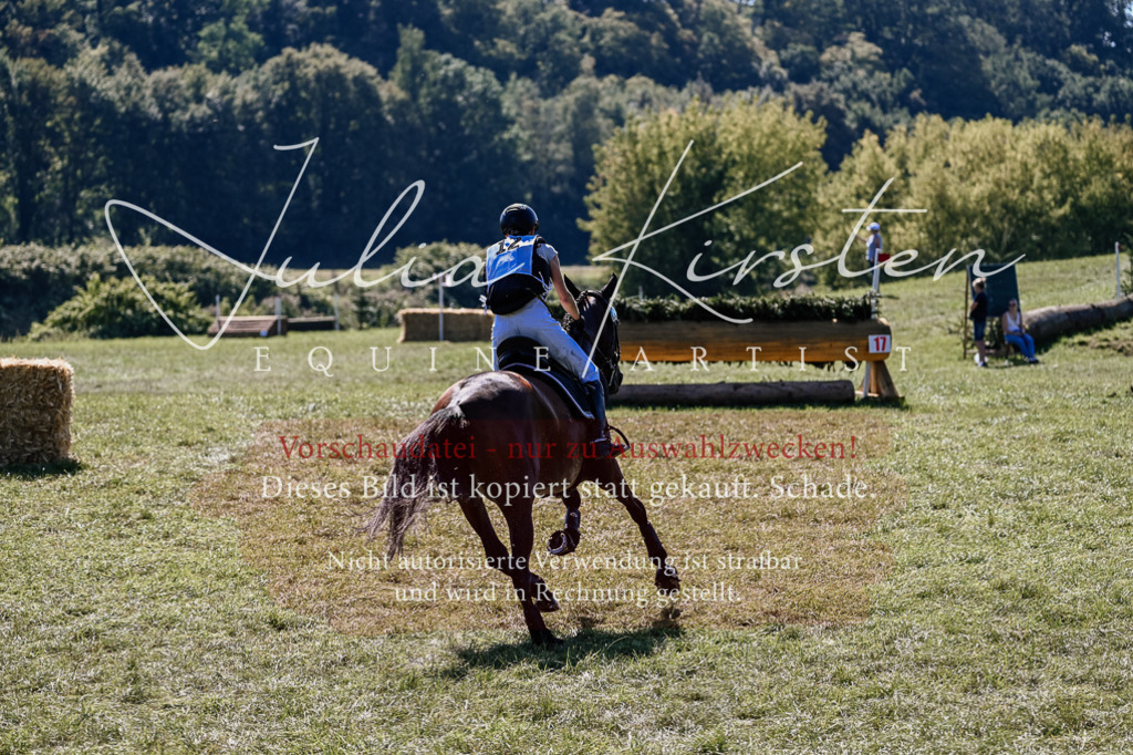 DSC_1769 | Pferde- und Turnierfotografie in Westsachsen. Pferdeportraits, Auftragszeichnungen und intuitive Kunst.