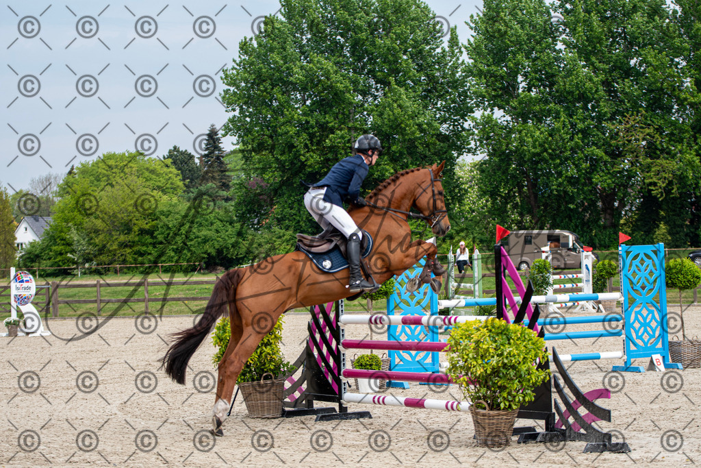 KPT_3037 | andre_photographic