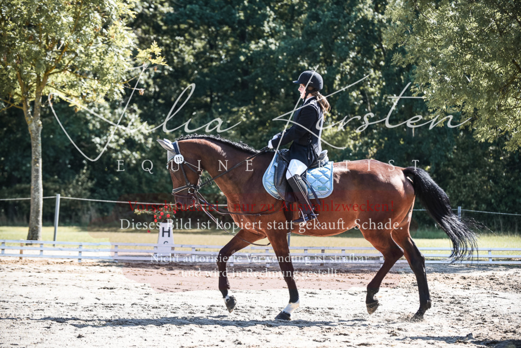 DSC_4658 | Pferde- und Turnierfotografie in Westsachsen. Pferdeportraits, Auftragszeichnungen und intuitive Kunst.