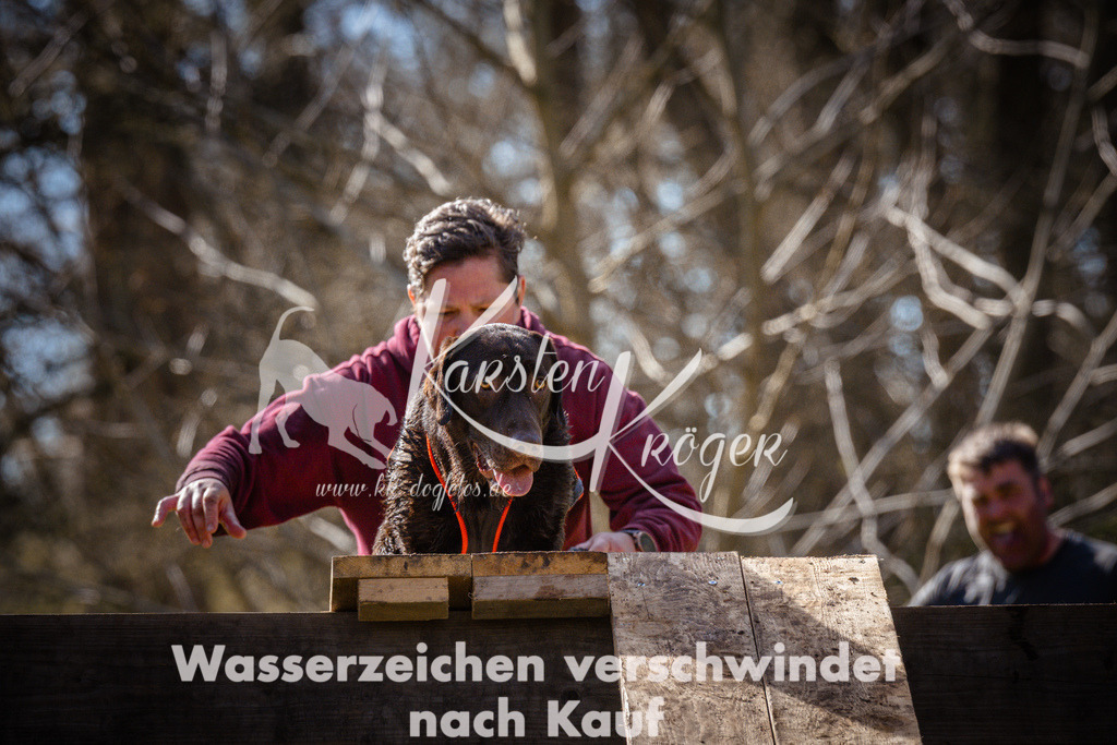 0924_ZZ95457 | kk-dogfotos