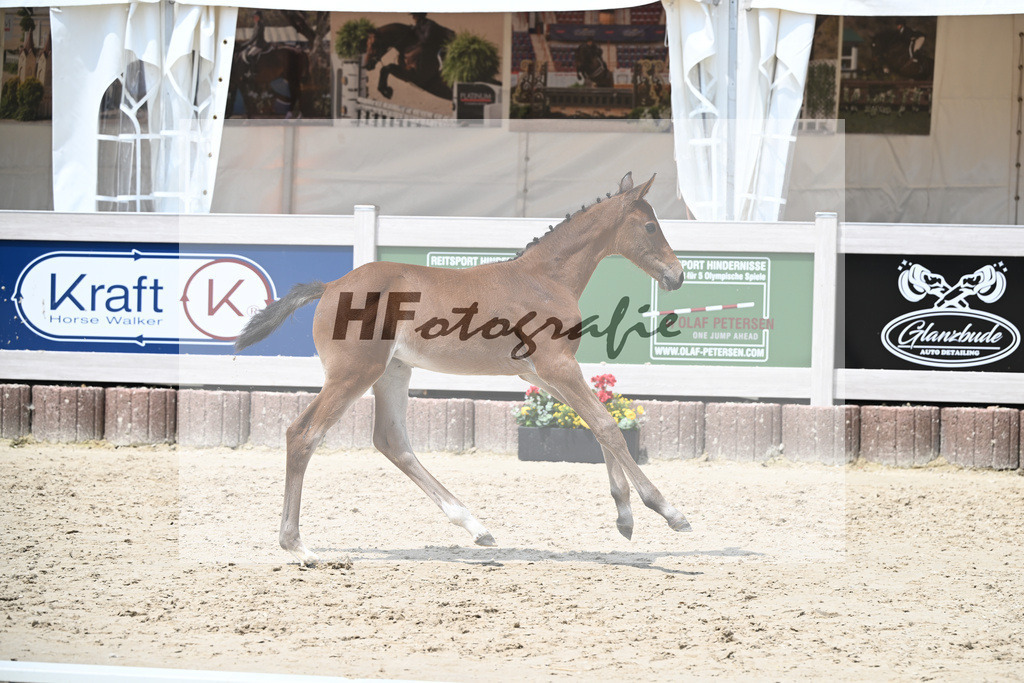 Cardento x Heartbreaker_SF_Wagner_12250868 | hf-fotografie - Realisiert mit Pictrs.com