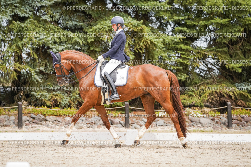 DSC05089 | Pferdegrafie