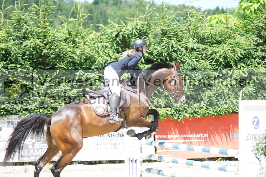 DSC09232 | equestrian-live-com