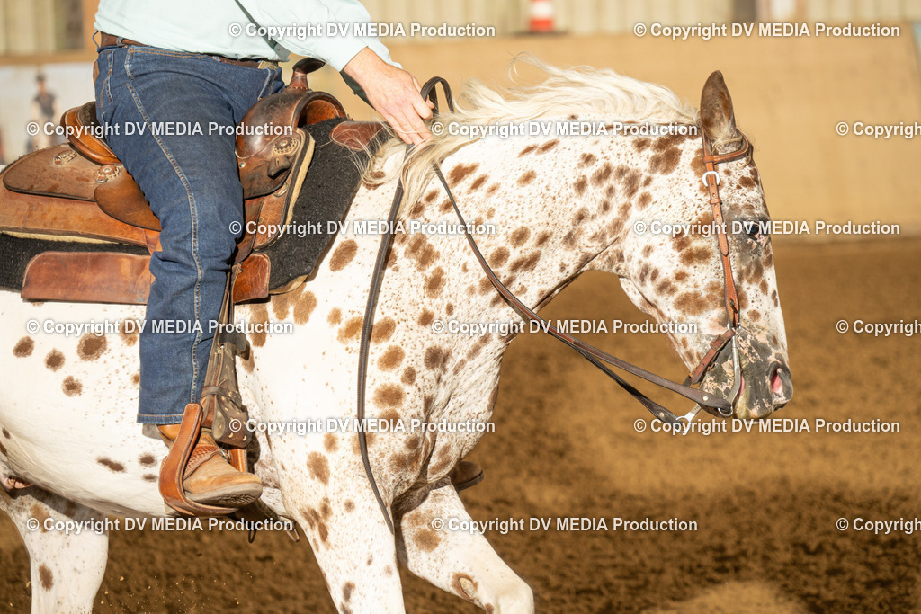 LAU00506 | dv-media-shop - Realisiert mit Pictrs.com