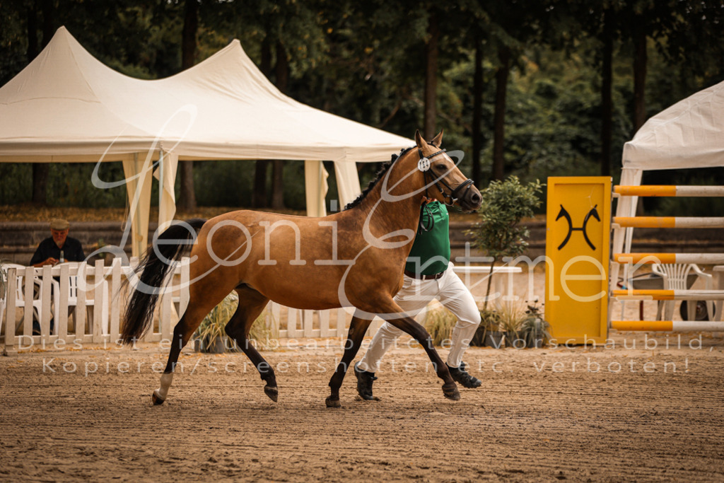 10.So00023 | Leoni Ertmer Photography - Realisiert mit Pictrs.com