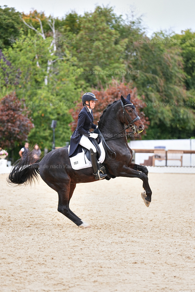 11-007-Dressur S___-Marixx-1713 | working equitationturnier fotograf videograf stoibphotography marixx film working equitation deutschland reitsport turnierfotografie eventfotografie equestrian events