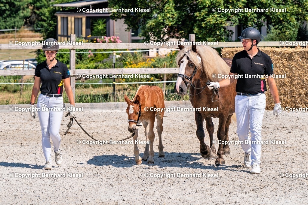 2A906855 | foto-team-bernhard - Realisiert mit Pictrs.com