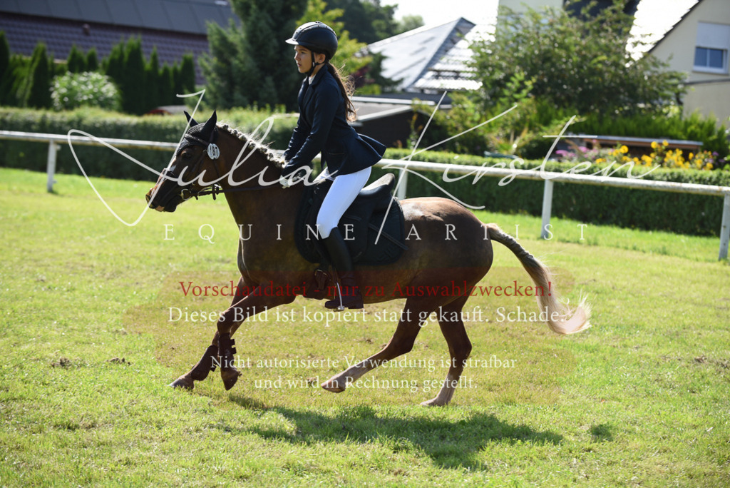 DSC_9062 | Pferde- und Turnierfotografie in Westsachsen. Pferdeportraits, Auftragszeichnungen und intuitive Kunst.