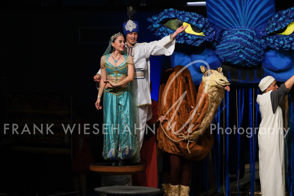 steppdm22_5274 | FRANK WIESEHAHN MEDIA - Realisiert mit Pictrs.com