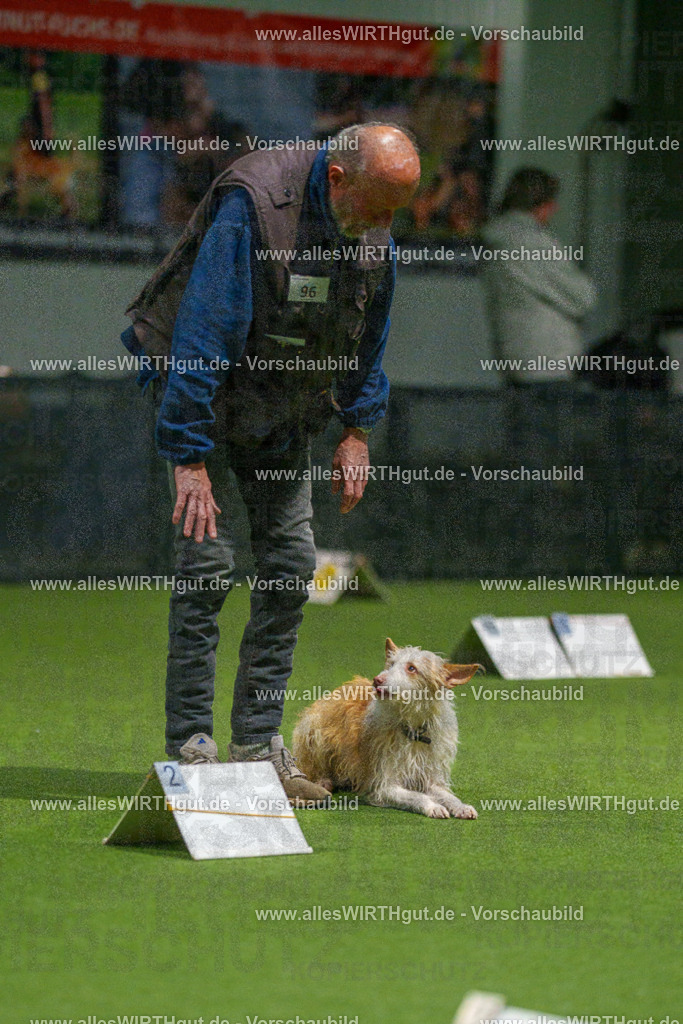 7R509030 | Professionelle Tierfotografie in Mönchengladbach von Daniel Wirth (allesWIRTHgut). Liebevolle & natürliche Bilder von Hunden & Katzen für unvergessliche Erinnerungen.