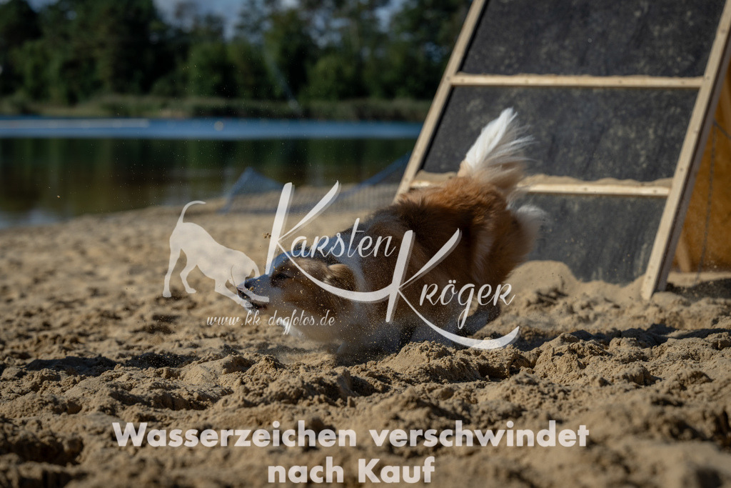 1244_ZZ93496-2 | kk-dogfotos