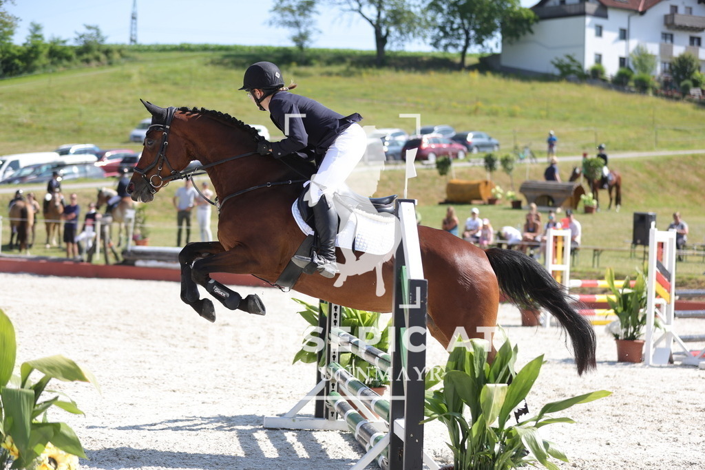 0P6A7936 | Willkommen bei Brunnmayr - Design & Fotografie – Ihrem Spezialisten für Reitturniere und Pferdeveranstaltungen in Oberösterreich, Salzburg und Bayern! Seit über 17 Jahren sind wir leidenschaftlich dabei.