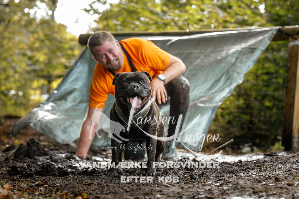 1458DZ6_4123Z6 | kk-dogfotos