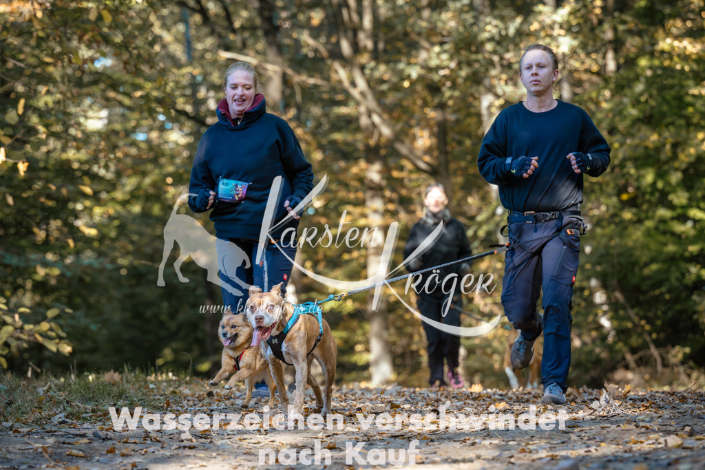 1122_ZZ92193 | kk-dogfotos