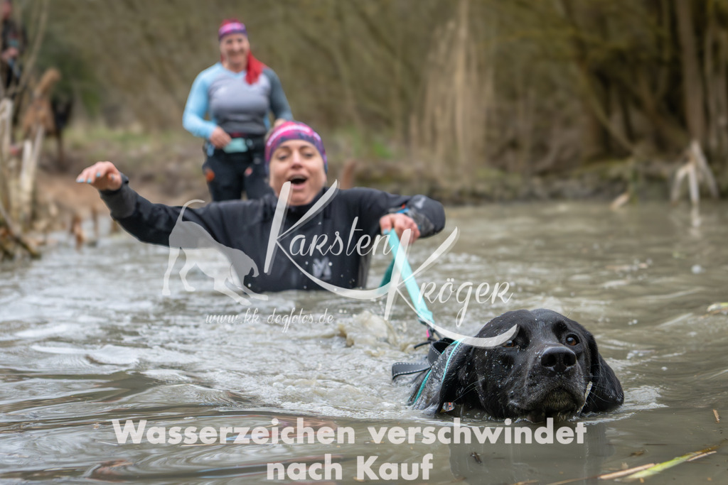1340_ZZ91542 | kk-dogfotos