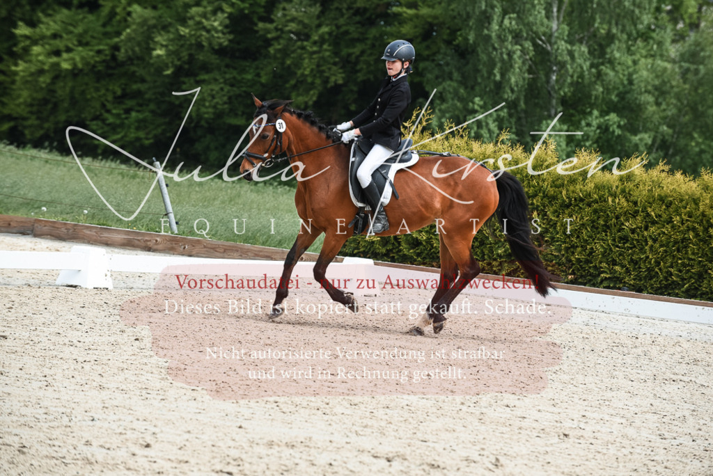 20230518_JK-Röhrsdorf-11-0250 | Pferde- und Turnierfotografie in Westsachsen. Pferdeportraits, Auftragszeichnungen und intuitive Kunst.