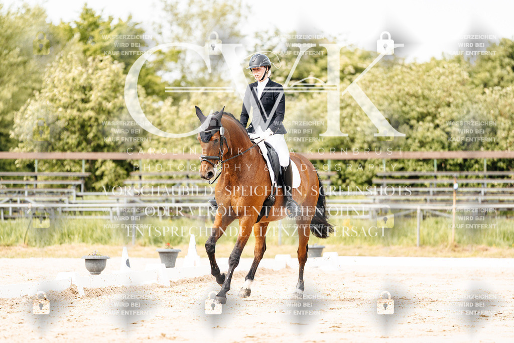 CK900986 | Turnierfotografie Pferdefotografie Trier Rheinland-Pfalz Pferdesport Reitsport Tierfotografie Sportfotografie Pferdevideo Pferdevideografie Equestrianvideography equestrianphotography  - Realisiert mit Pictrs.com