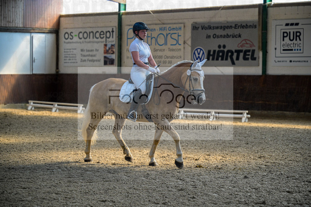 Reitturnier Voxtrup | Entdecke hochwertige Reitturnierfotos von Foto Oger. Professionell, emotional und authentisch – jetzt Lieblingsmomente im Shop bestellen.Deutschlandweite Turnierfotografie. - Realisiert mit Pictrs.com