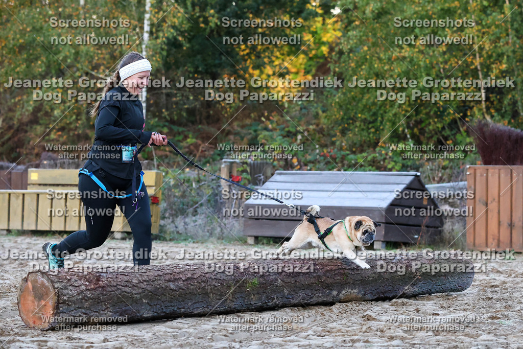 Dog Paparazzi - Strongdog 10-25-50 | Dog Paparazzi Jeanette Grottendiek Fotografie & Videografie - Realisiert mit Pictrs.com