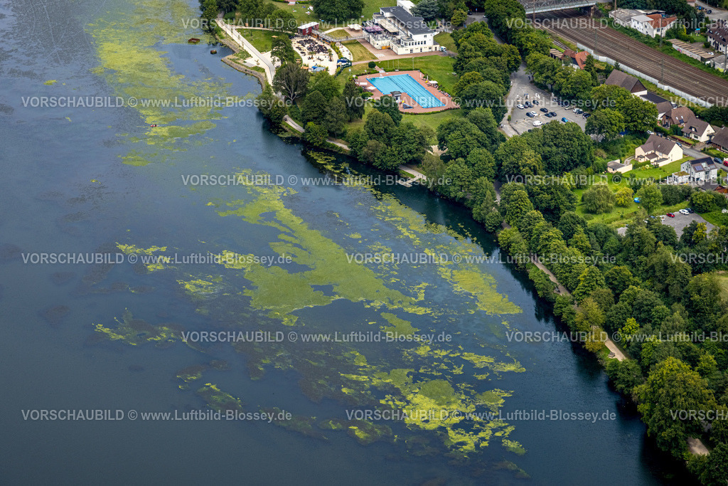 Hagen240711225Hengsteysee | Luftbild, Hengsteysee mit Algenbewuchs, Algenpest, Elodea, Strandbad, Freibad, Salitos Beach, Strandhaus, Ruhrtal, Hagen, Nordrhein-Westfalen, Deutschland, 