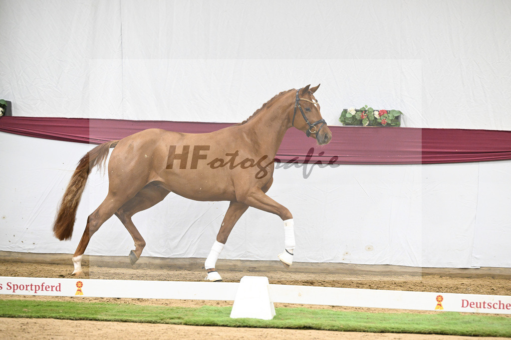 Kat-Nr. 133 Von Und Zu x Locksley III_Sabine Lehner_47254507 | hf-fotografie - Realisiert mit Pictrs.com