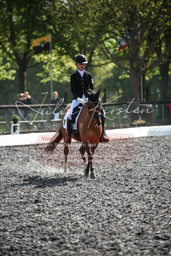 DSC_8988 | Pferde- und Turnierfotografie in Westsachsen. Pferdeportraits, Auftragszeichnungen und intuitive Kunst.