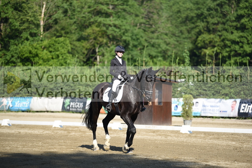 DSC_6918 | equestrian-live-com
