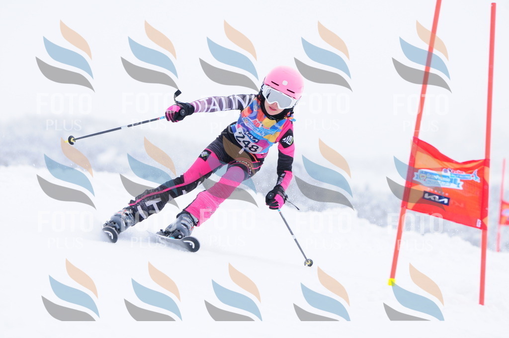 C2602 | holidayphoto