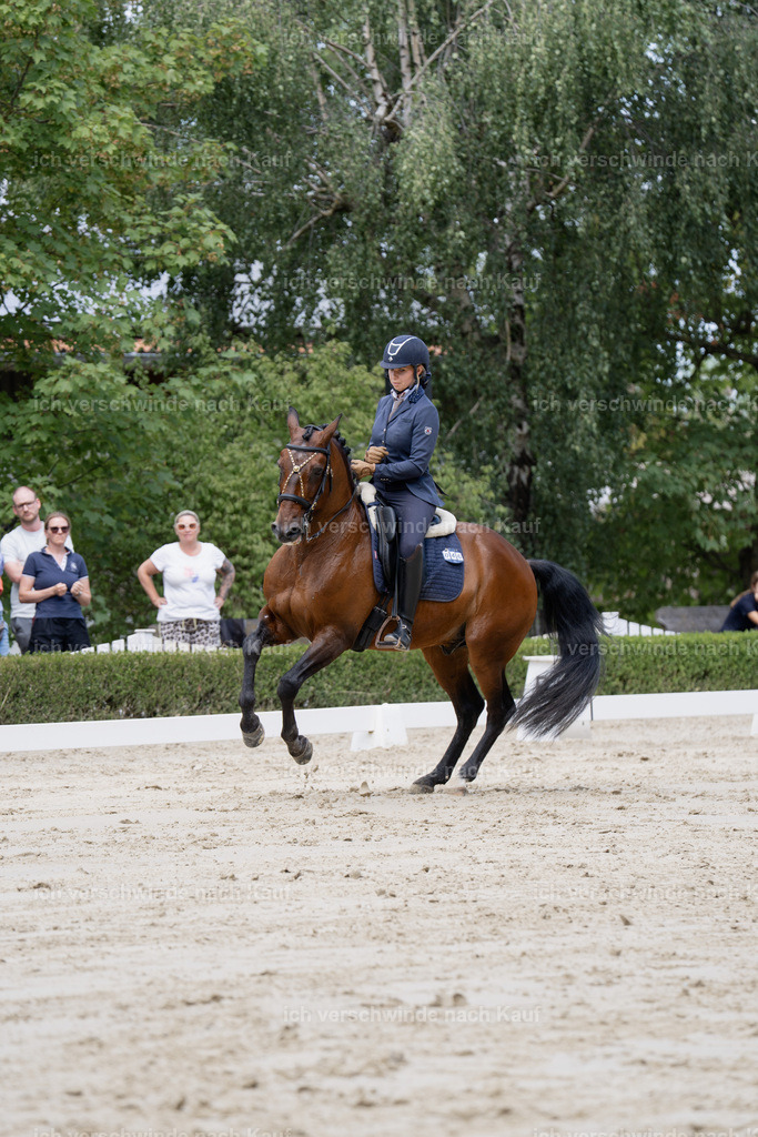 WS_DR_46_sinafilmart_IN02360 | working equitationturnier fotograf videograf stoibphotography marixx film working equitation deutschland reitsport turnierfotografie eventfotografie equestrian events